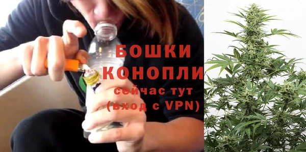 прущие крисы Надым