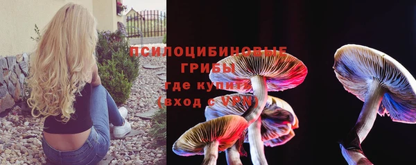 прущие крисы Надым